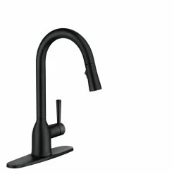 Moen® Adler Single Handle Pull Down Kitchen Faucet, Matte Black